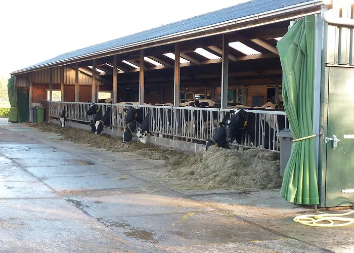 Boerderij \